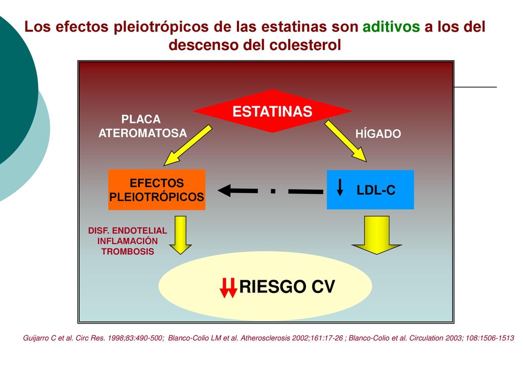 Los efectos pleiotrópicos de las estatinas son aditivos a los del descenso del colesterol