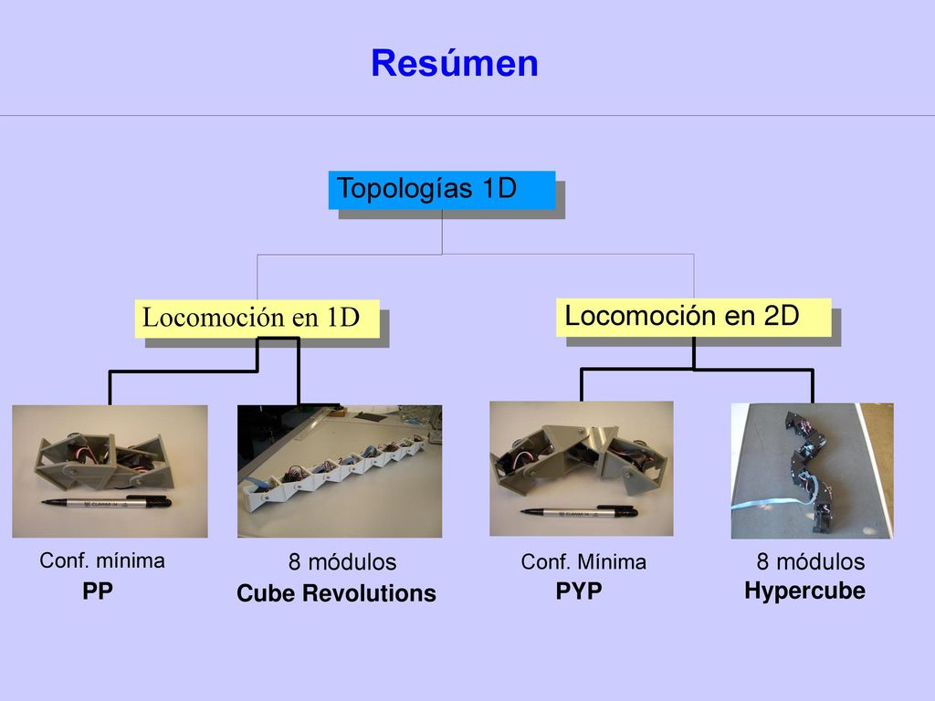 Resúmen Topologías 1D Locomoción en 1D Locomoción en 2D 8 módulos