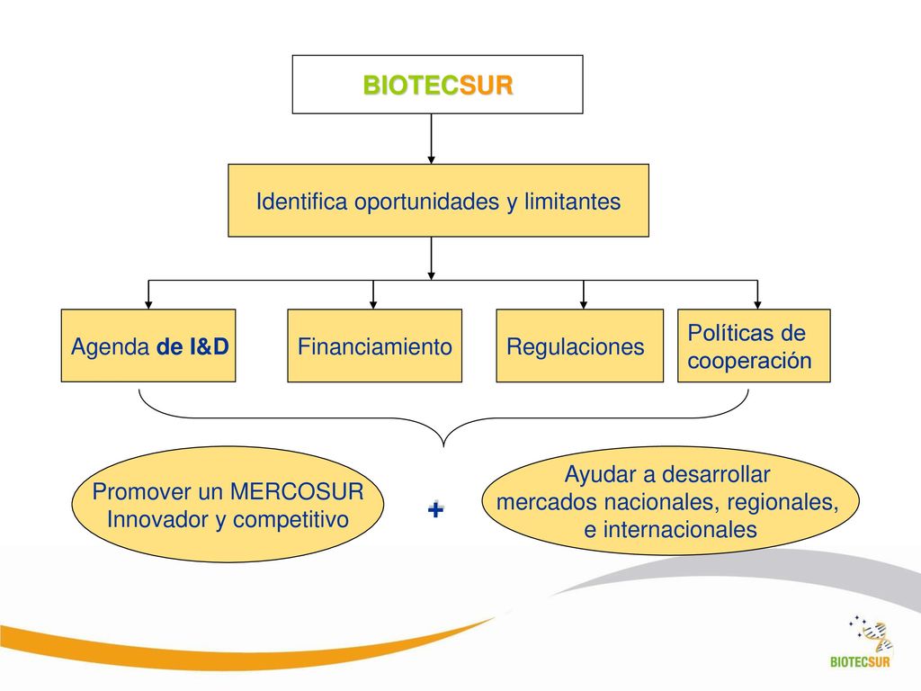 + BIOTECSUR Identifica oportunidades y limitantes Agenda de I&D