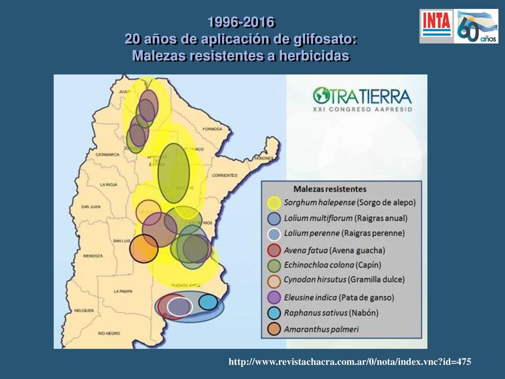 20 años de aplicación de glifosato: Malezas resistentes a herbicidas