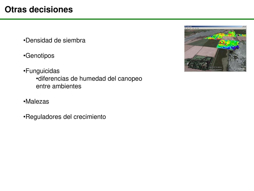 Otras decisiones Densidad de siembra Genotipos Funguicidas