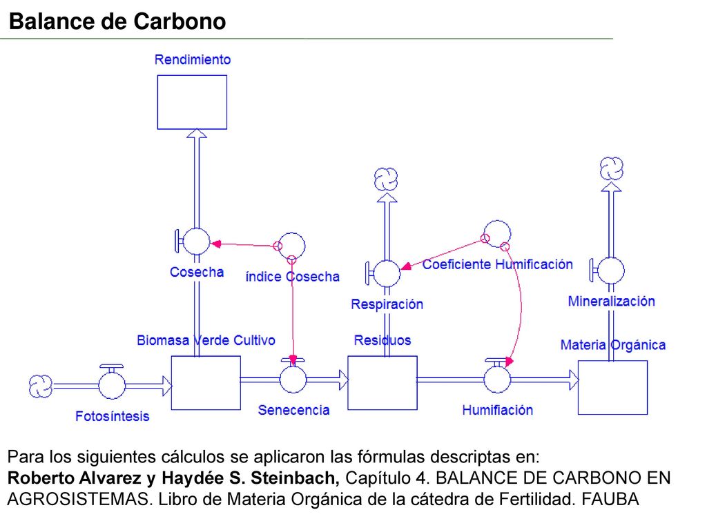 Balance de Carbono Para los siguientes cálculos se aplicaron las fórmulas descriptas en: