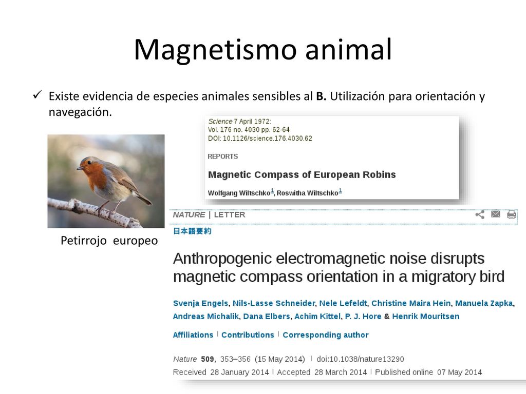 Campo Magnetico Terrestre Ppt Descargar