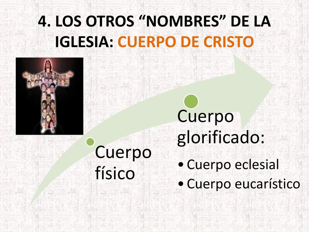 4. LOS OTROS NOMBRES DE LA IGLESIA: Cuerpo de Cristo