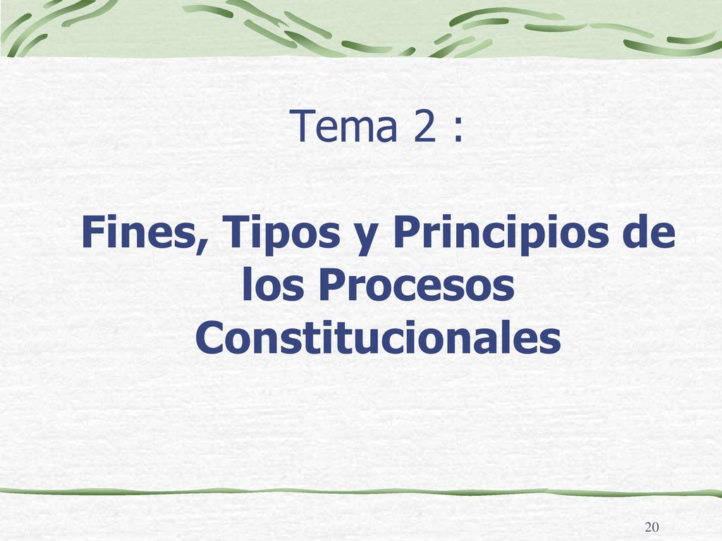 Tema 2 : Fines, Tipos y Principios de los Procesos Constitucionales