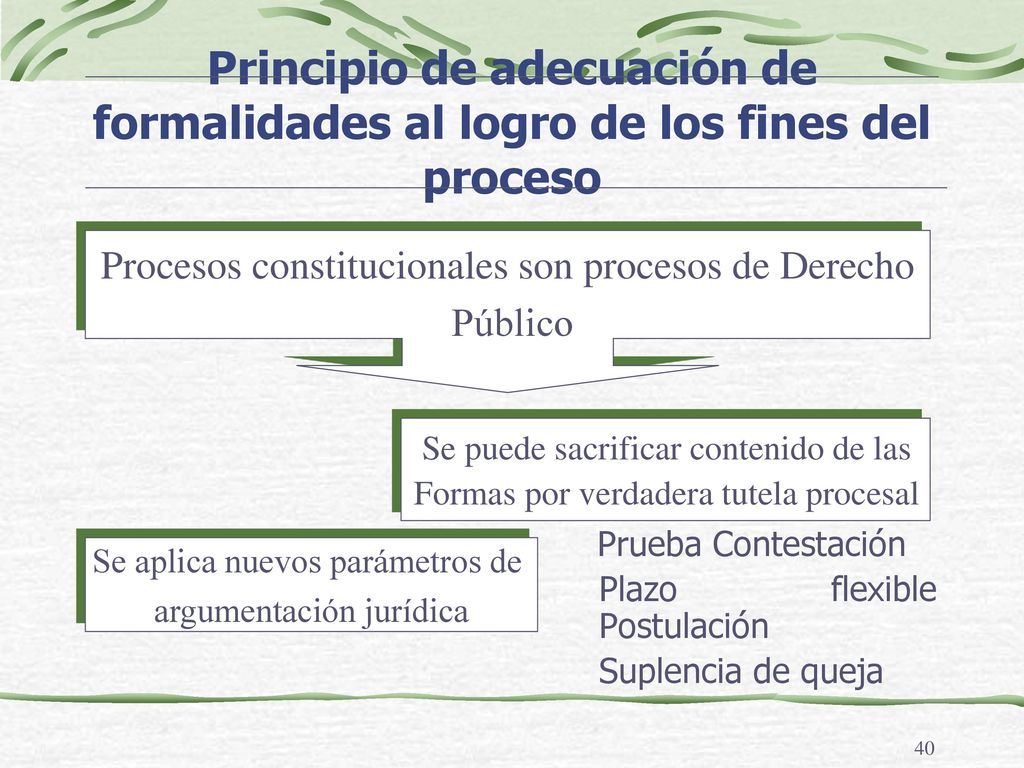 Principio de adecuación de formalidades al logro de los fines del proceso