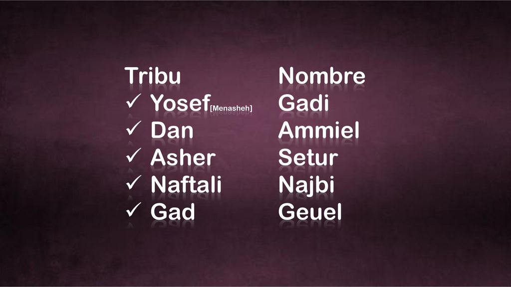 Tribu Nombre Yosef[Menasheh] Gadi. Dan Ammiel. Asher Setur. Naftali Najbi.
