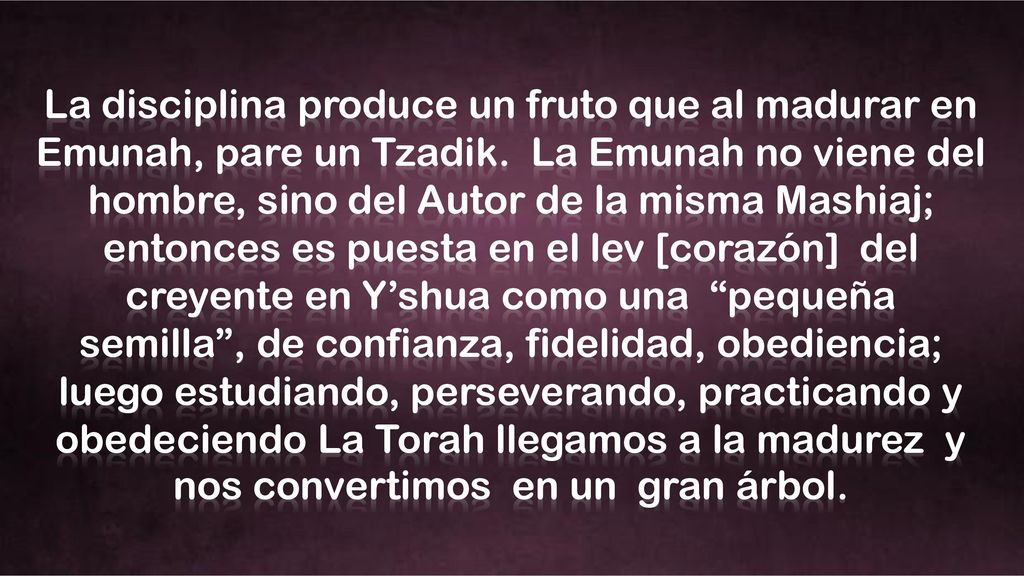La disciplina produce un fruto que al madurar en Emunah, pare un Tzadik.
