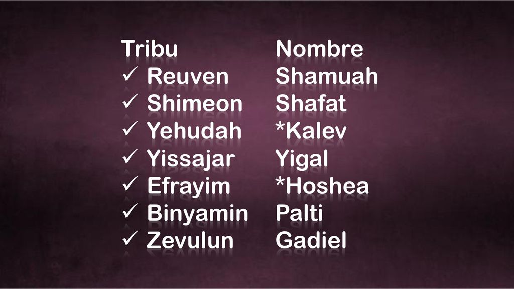 Tribu Nombre Reuven Shamuah. Shimeon Shafat. Yehudah *Kalev. Yissajar Yigal. Efrayim *Hoshea.