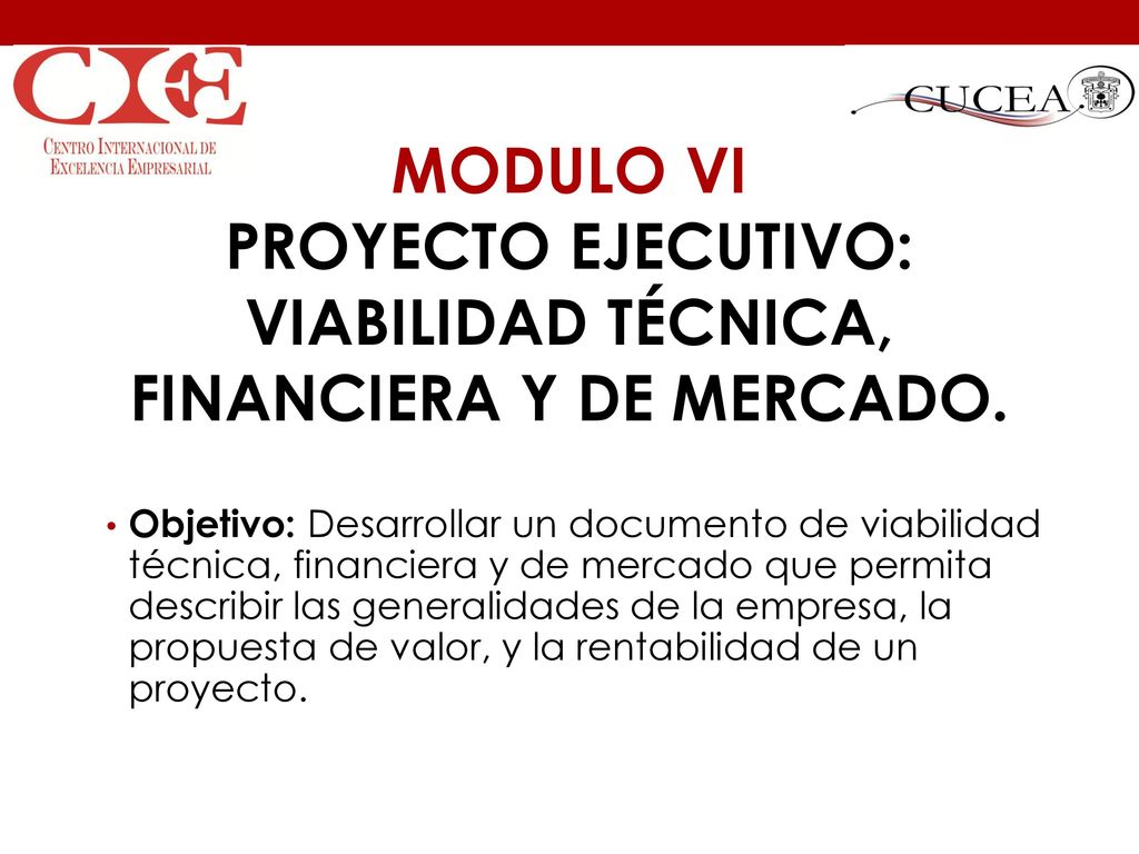 MODULO VI PROYECTO EJECUTIVO: VIABILIDAD TÉCNICA, FINANCIERA Y DE MERCADO.