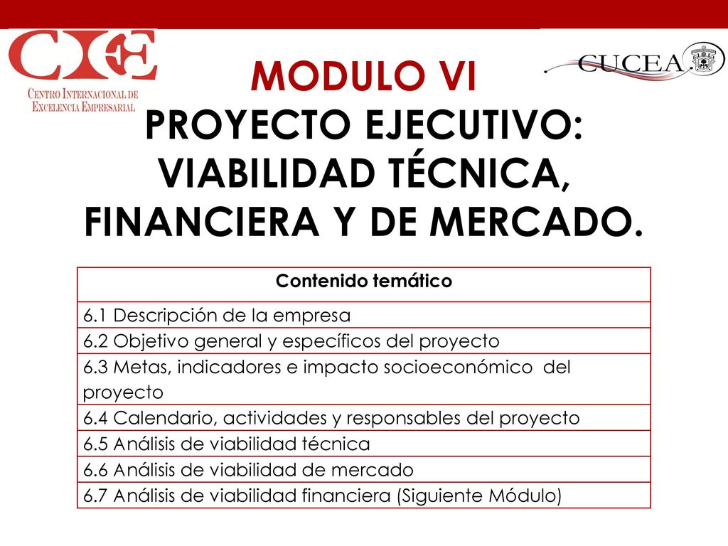 MODULO VI PROYECTO EJECUTIVO: VIABILIDAD TÉCNICA, FINANCIERA Y DE MERCADO.