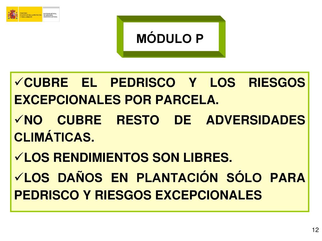 MÓDULO P CUBRE EL PEDRISCO Y LOS RIESGOS EXCEPCIONALES POR PARCELA. NO CUBRE RESTO DE ADVERSIDADES CLIMÁTICAS.