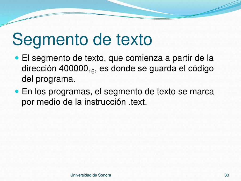 Segmento de texto El segmento de texto, que comienza a partir de la dirección , es donde se guarda el código del programa.