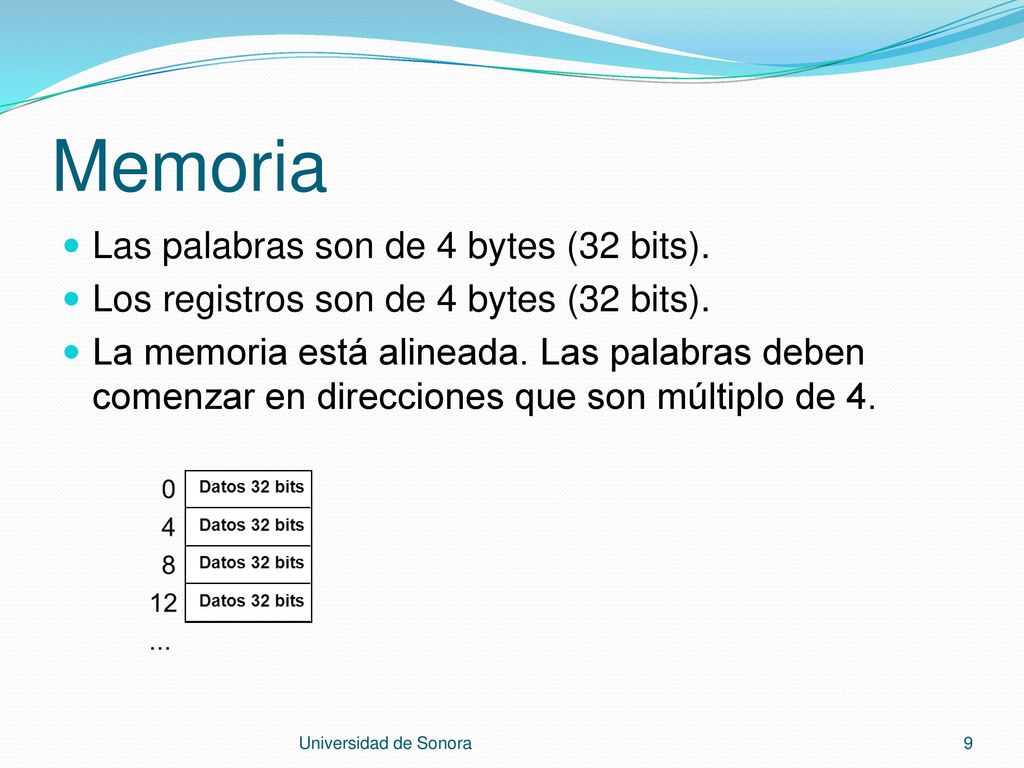 Memoria Las palabras son de 4 bytes (32 bits).