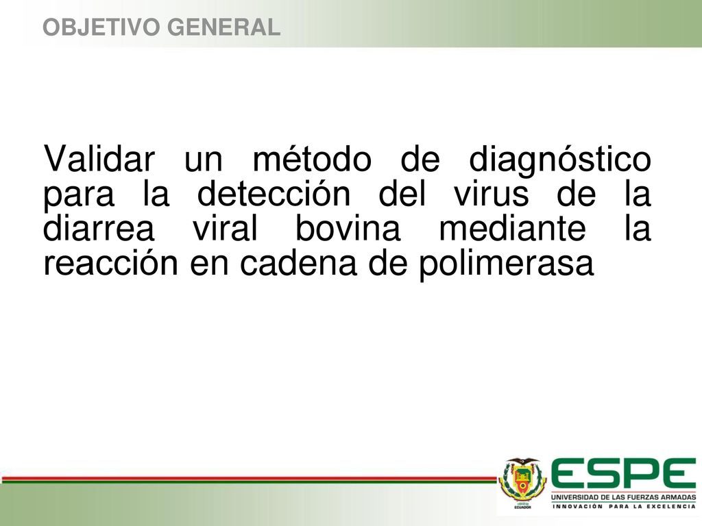OBJETIVO GENERAL Validar un método de diagnóstico para la detección del virus de la diarrea viral bovina mediante la reacción en cadena de polimerasa.