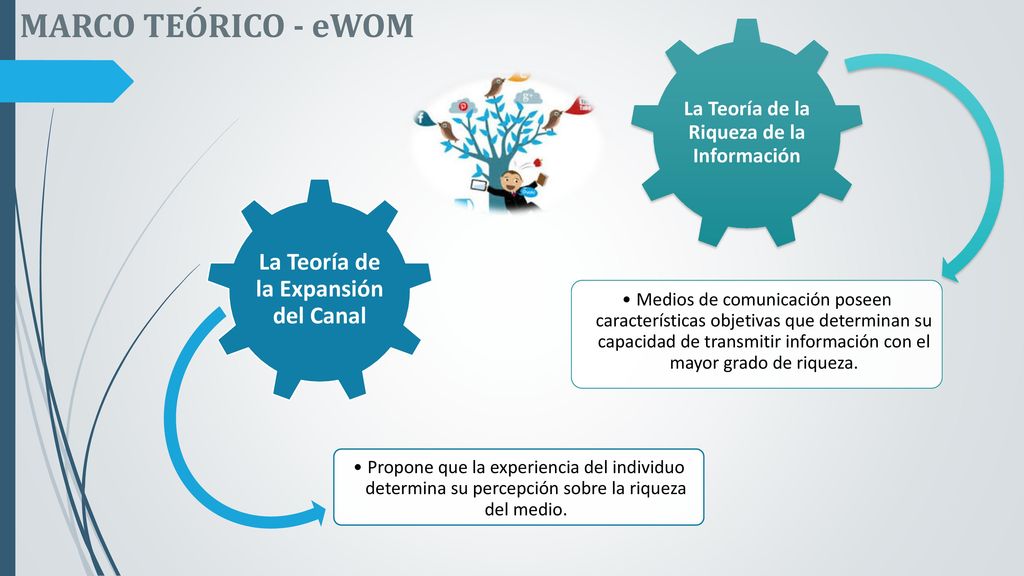La Teoría de la Riqueza de la Información
