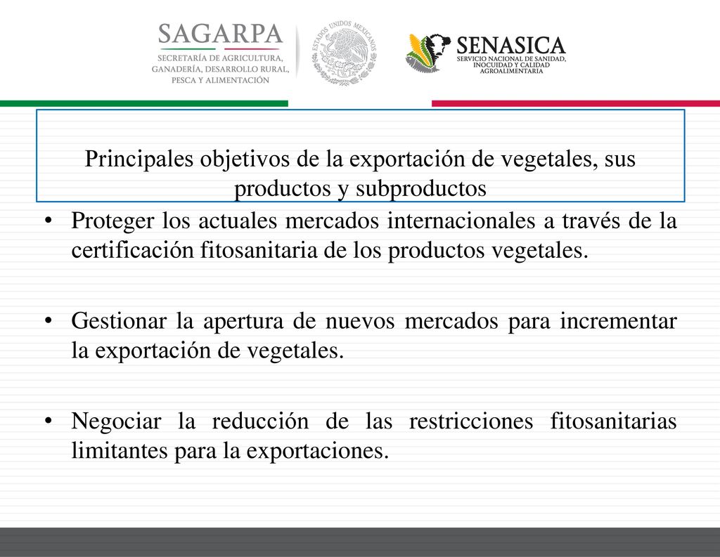 Principales objetivos de la exportación de vegetales, sus productos y subproductos
