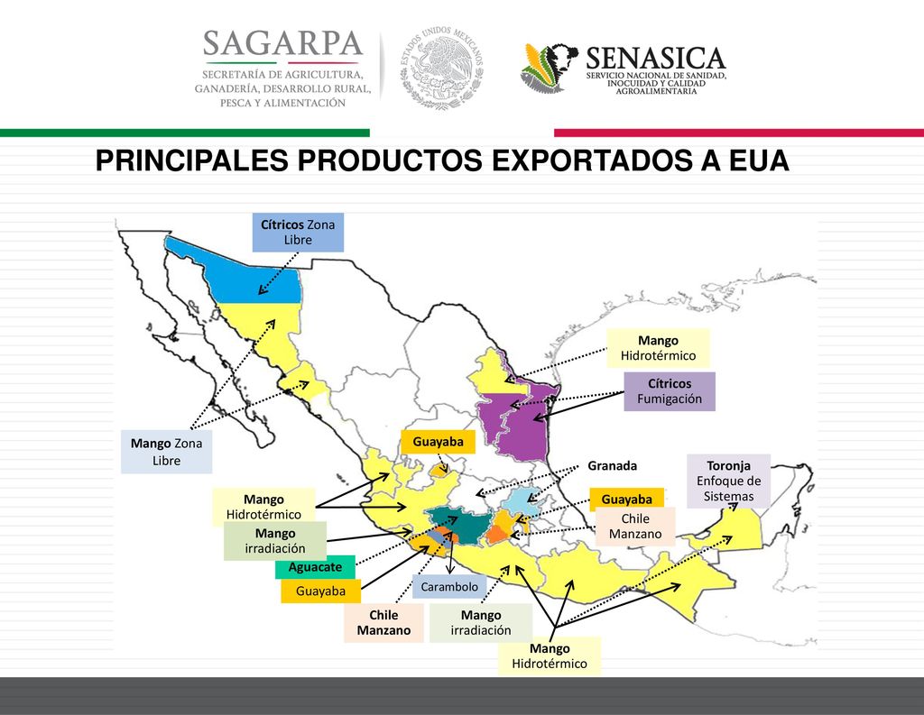 PRINCIPALES PRODUCTOS EXPORTADOS A EUA