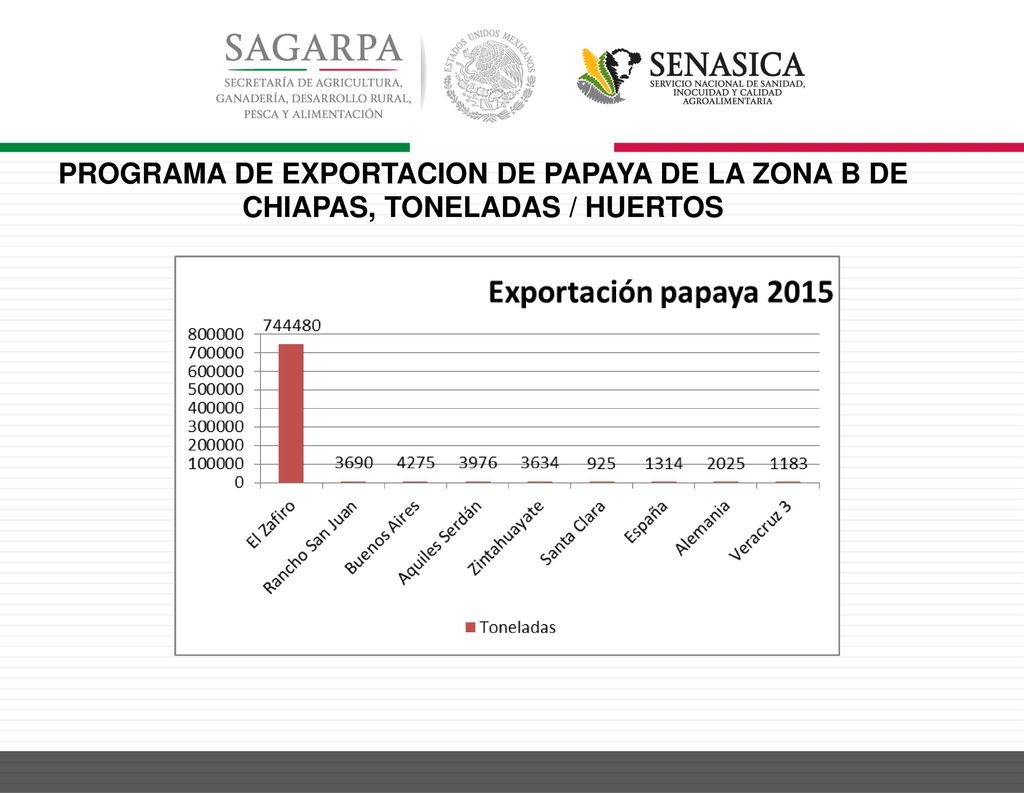 PROGRAMA DE EXPORTACION DE PAPAYA DE LA ZONA B DE CHIAPAS, TONELADAS / HUERTOS