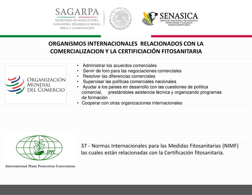 ORGANISMOS INTERNACIONALES RELACIONADOS CON LA COMERCIALIZACION Y LA CERTIFICIACIÓN FITOSANITARIA