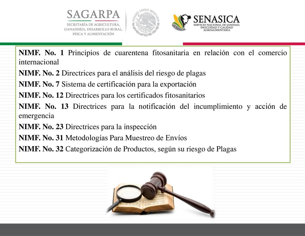 NIMF. No. 1 Principios de cuarentena fitosanitaria en relación con el comercio internacional NIMF.