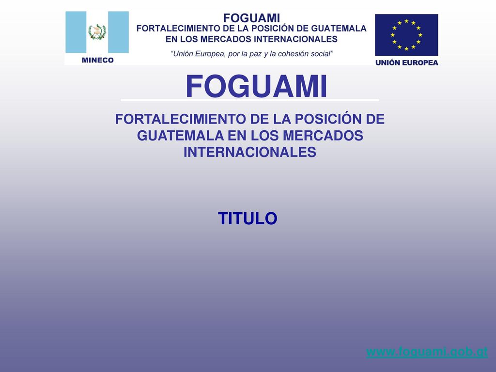 FORTALECIMIENTO DE LA POSICIÓN DE GUATEMALA EN LOS MERCADOS INTERNACIONALES