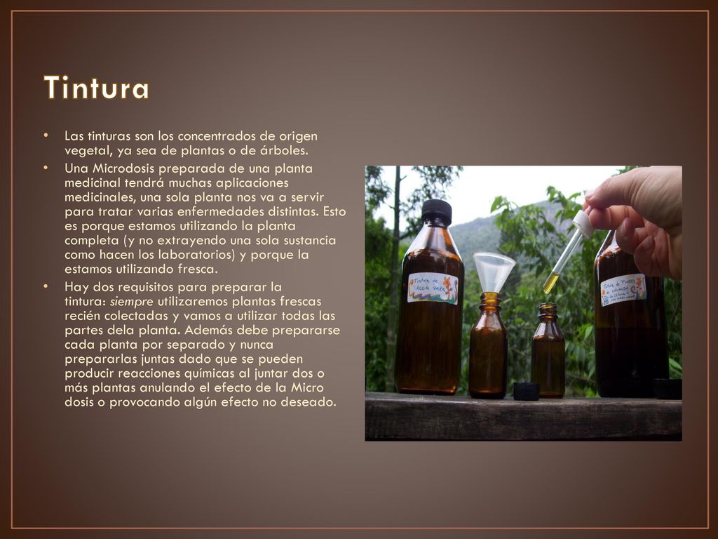 Tintura Las tinturas son los concentrados de origen vegetal, ya sea de plantas o de árboles.