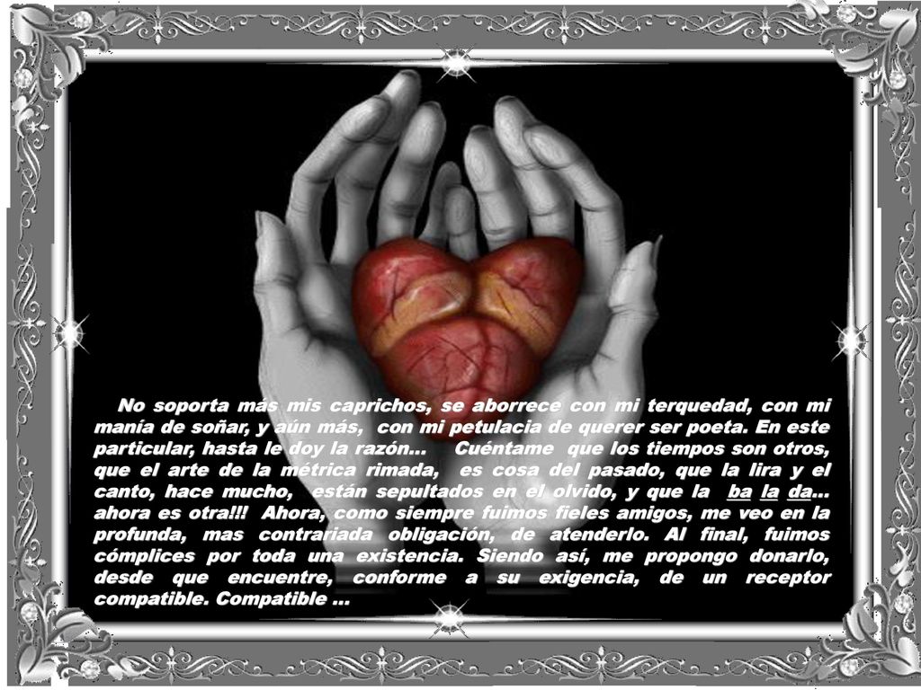 No soporta más mis caprichos, se aborrece con mi terquedad, con mi manía de soñar, y aún más, con mi petulacia de querer ser poeta.