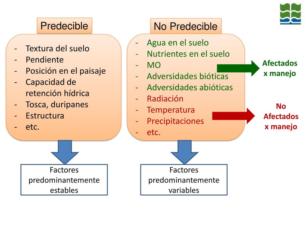 Predecible No Predecible Agua en el suelo Textura del suelo