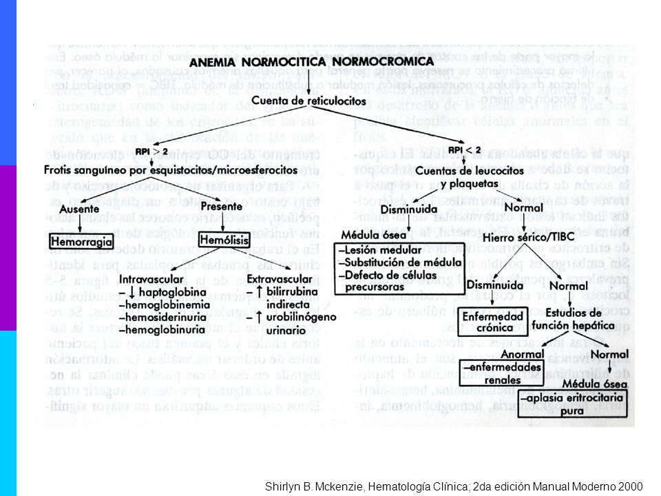 Shirlyn B. Mckenzie, Hematología Clínica; 2da edición Manual Moderno 2000