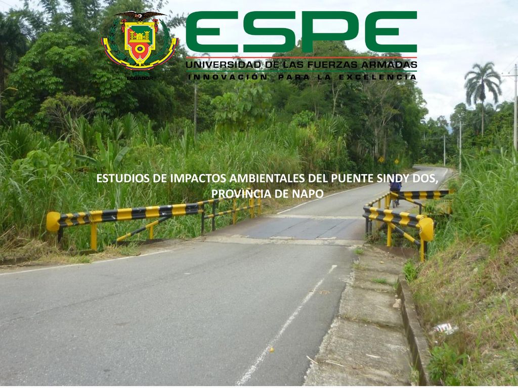 ESTUDIOS DE IMPACTOS AMBIENTALES DEL PUENTE SINDY DOS, PROVINCIA DE NAPO