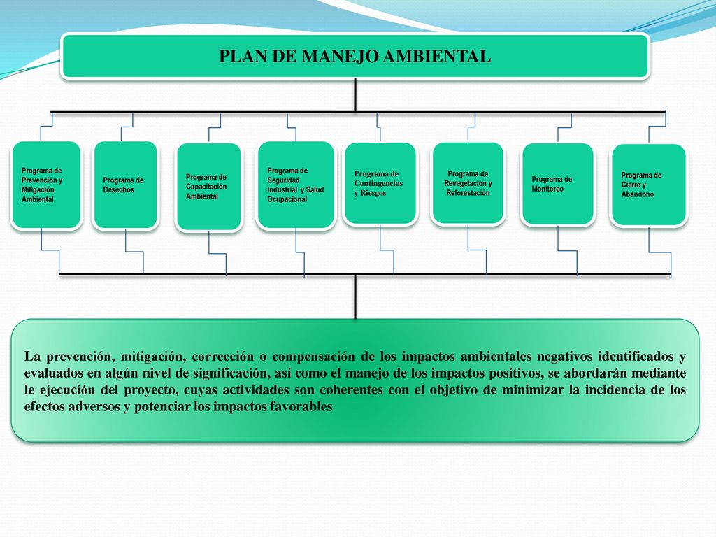 PLAN DE MANEJO AMBIENTAL Programa de Revegetación y Reforestación