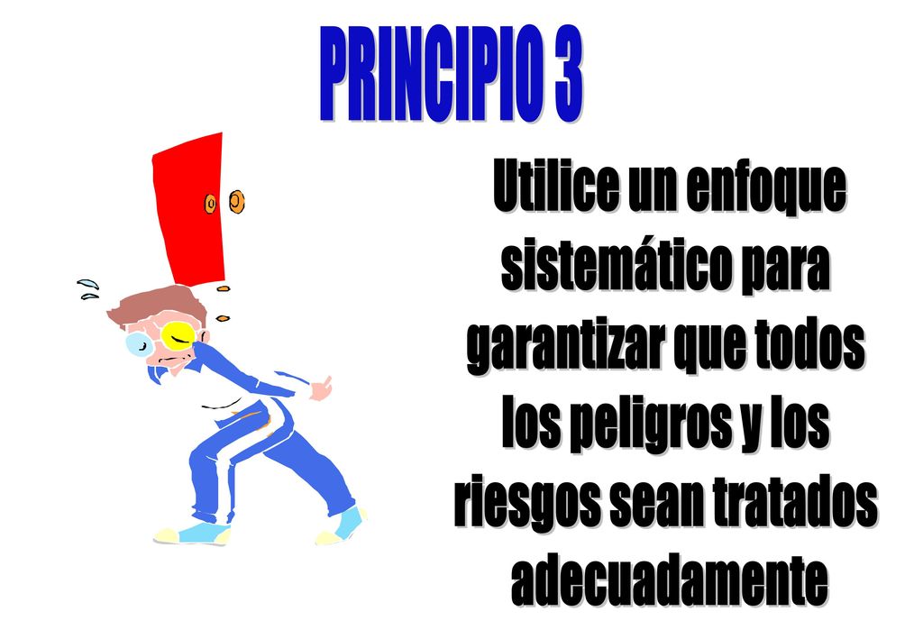 PRINCIPIO 3 Utilice un enfoque. sistemático para. garantizar que todos. los peligros y los. riesgos sean tratados.