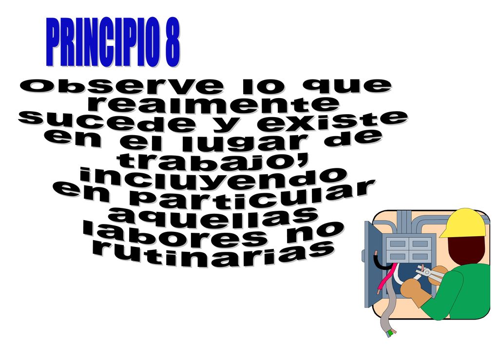 Observe lo que realmente sucede y existe en el lugar de trabajo,