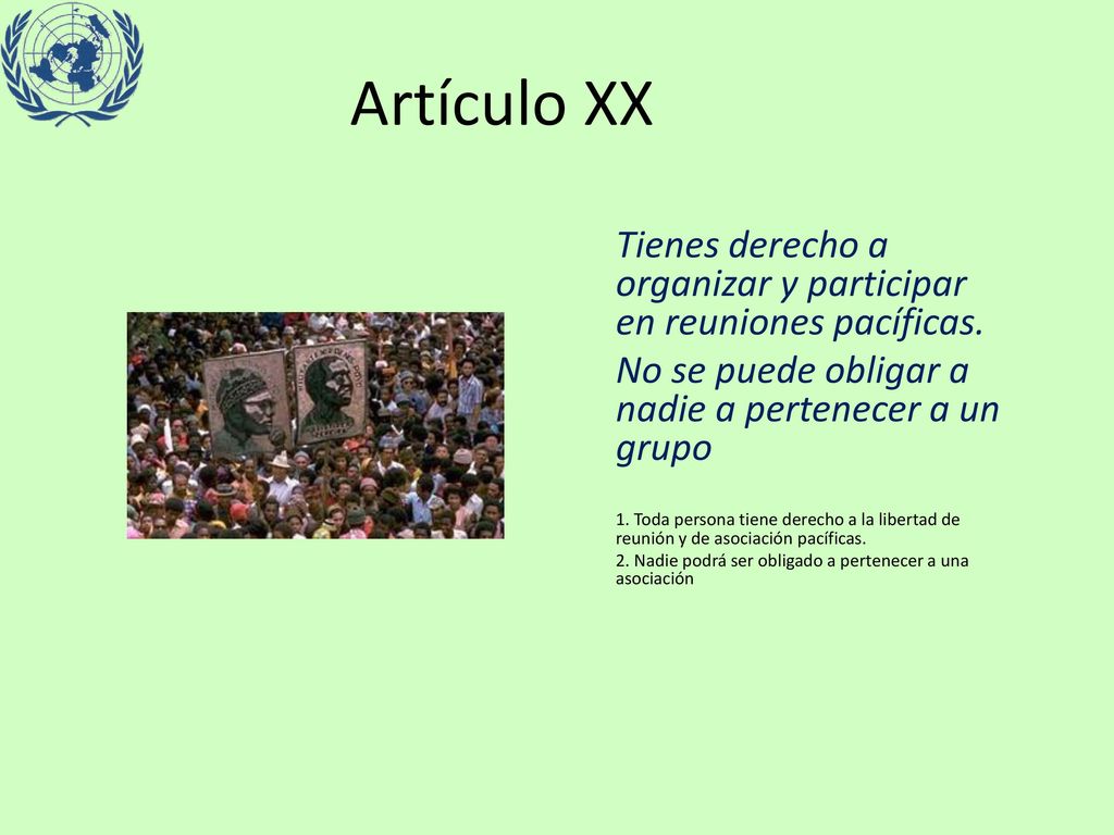 Artículo XX Tienes derecho a organizar y participar en reuniones pacíficas. No se puede obligar a nadie a pertenecer a un grupo.