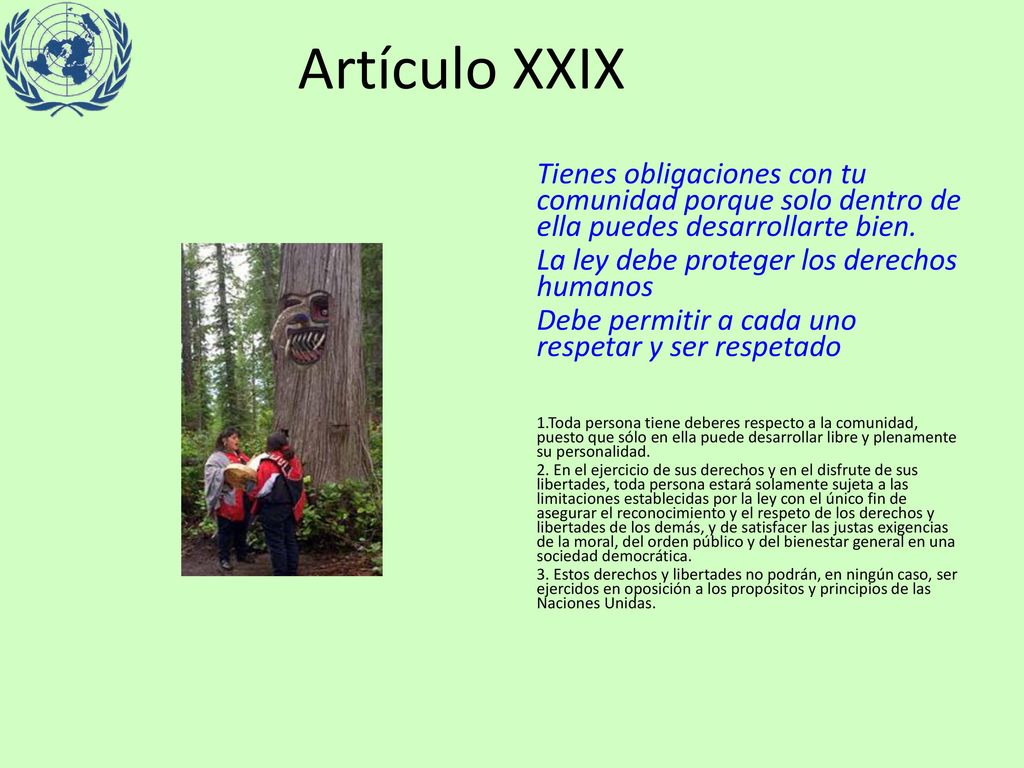 Artículo XXIX Tienes obligaciones con tu comunidad porque solo dentro de ella puedes desarrollarte bien.