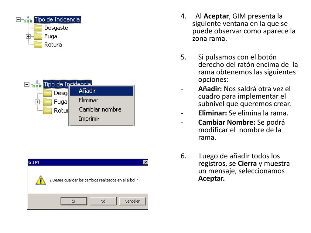 4. Al Aceptar, GIM presenta la siguiente ventana en la que se puede observar como aparece la zona rama.