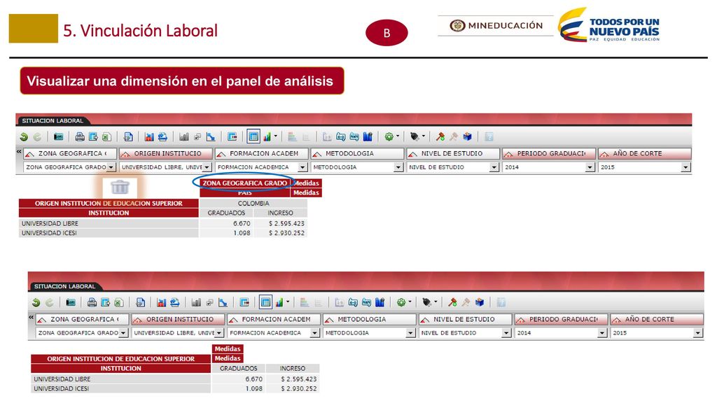 5. Vinculación Laboral B Visualizar una dimensión en el panel de análisis