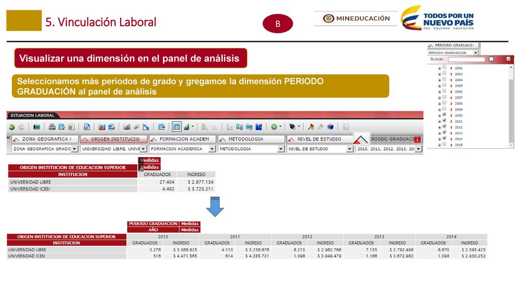 5. Vinculación Laboral B. Visualizar una dimensión en el panel de análisis.