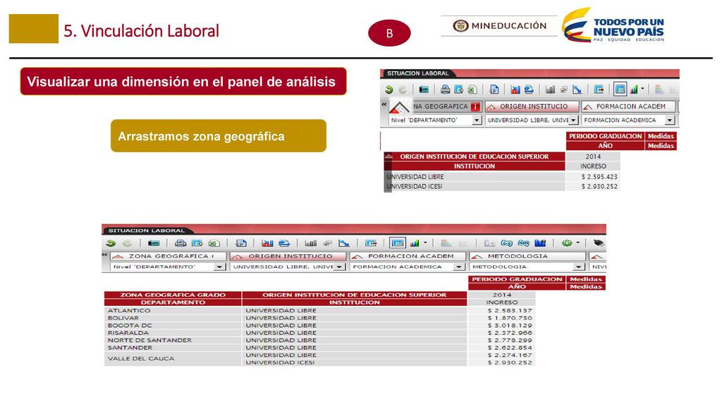 5. Vinculación Laboral B. Visualizar una dimensión en el panel de análisis.