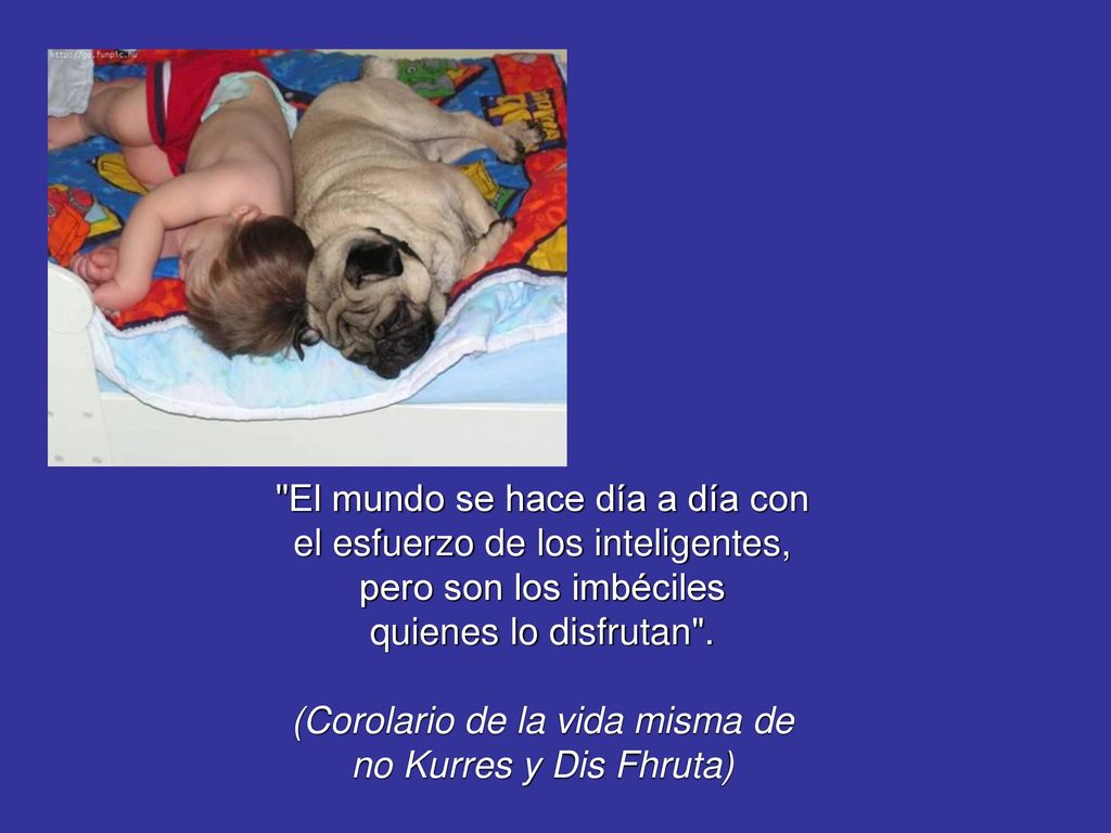 El mundo se hace día a día con el esfuerzo de los inteligentes,
