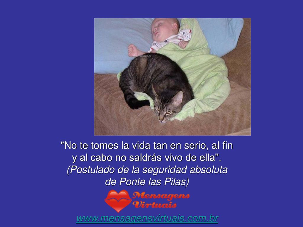 No te tomes la vida tan en serio, al fin