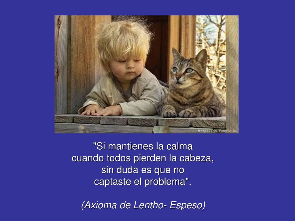 cuando todos pierden la cabeza, sin duda es que no
