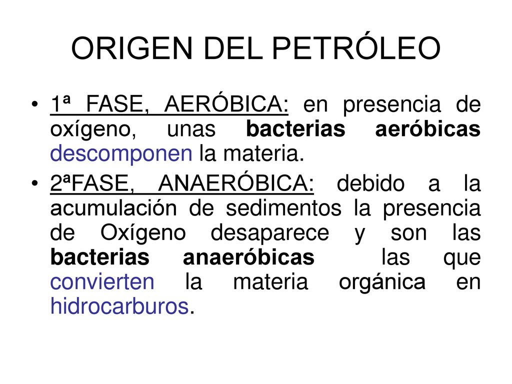 ORIGEN DEL PETRÓLEO 1ª FASE, AERÓBICA: en presencia de oxígeno, unas bacterias aeróbicas descomponen la materia.