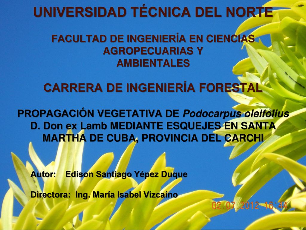UNIVERSIDAD TÉCNICA DEL NORTE FACULTAD DE INGENIERÍA EN CIENCIAS AGROPECUARIAS Y AMBIENTALES CARRERA DE INGENIERÍA FORESTAL