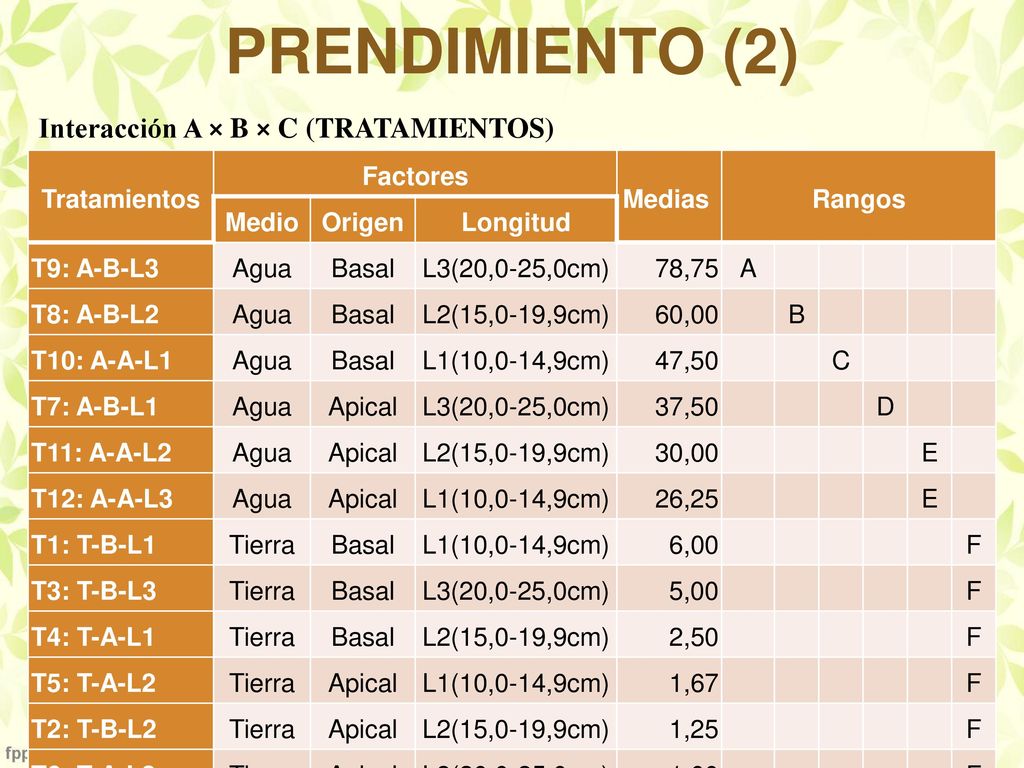 PRENDIMIENTO (2) Interacción A × B × C (TRATAMIENTOS) Tratamientos