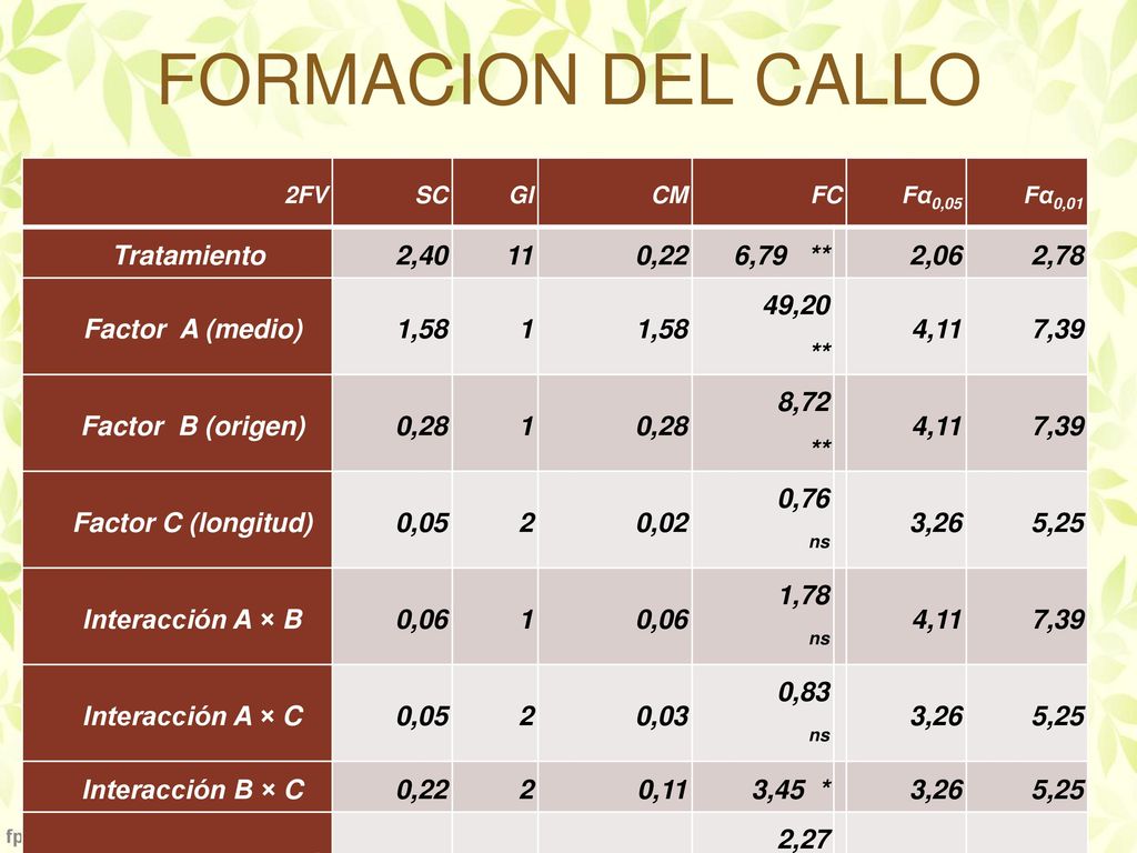 FORMACION DEL CALLO CV = 14,20 Tratamiento 2, ,22 6,79 ** 2,06