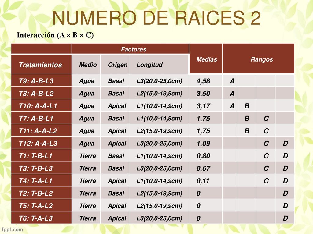 NUMERO DE RAICES 2 Interacción (A × B × C) Tratamientos T9: A-B-L3