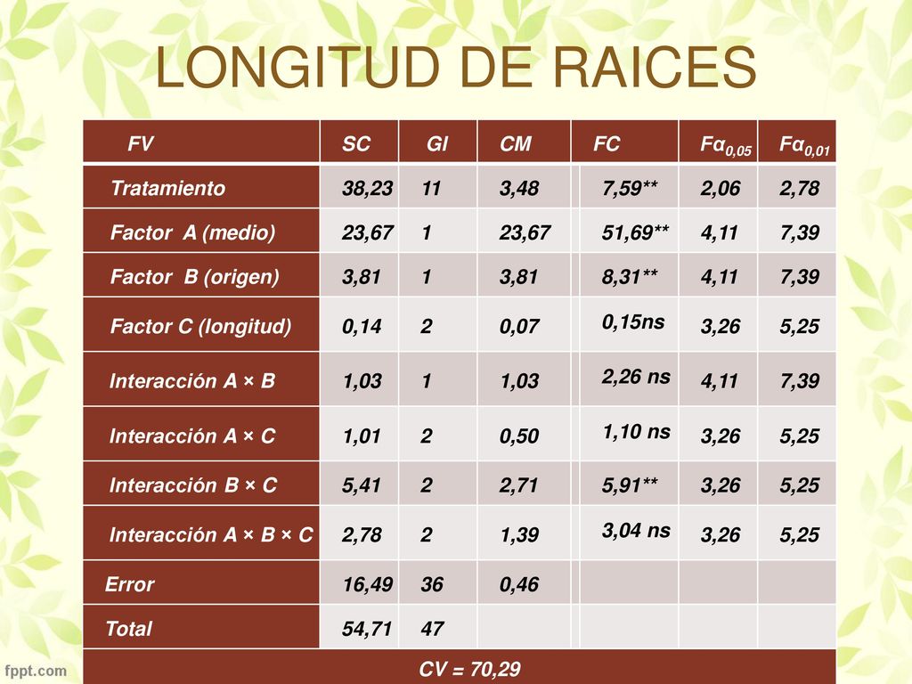 LONGITUD DE RAICES 0,15ns 2,26 ns 1,10 ns 3,04 ns FV SC Gl CM FC