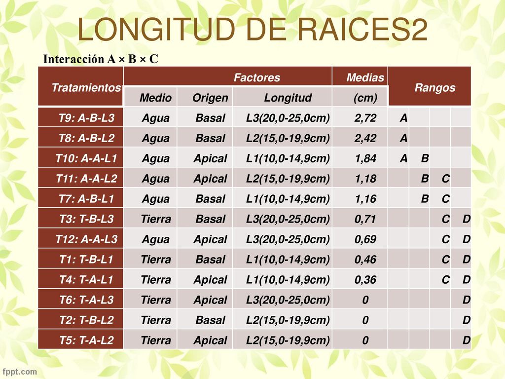 LONGITUD DE RAICES2 Interacción A × B × C Tratamientos Factores Medias
